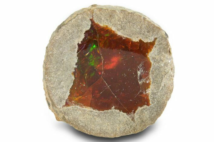 Ethiopian Chocolate Opal Nodule - Yita Ridge #367230